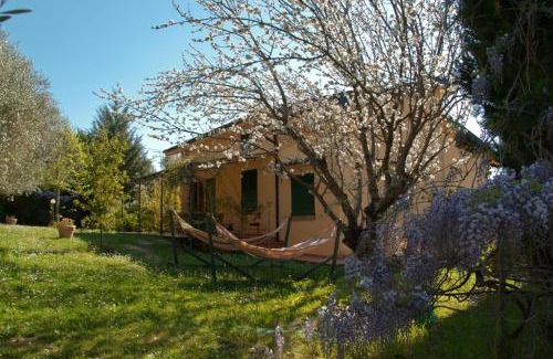 Montescudaio House | Casa Elisabetta
