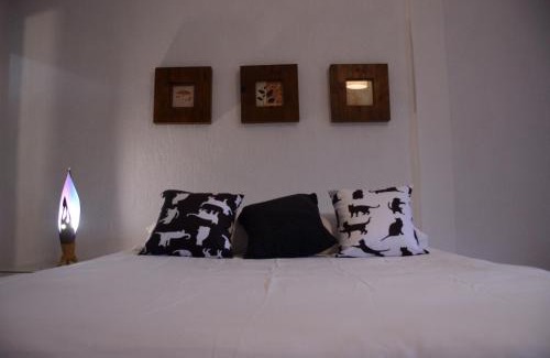 Historic Center House | CASA ENCANTADINHA