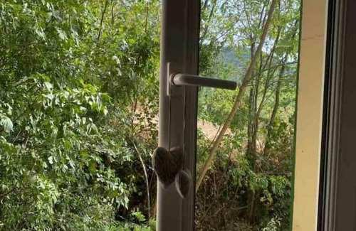 Guiselle Apartment | Casa Eugénie, L'authenticite Chez Jules Félix
