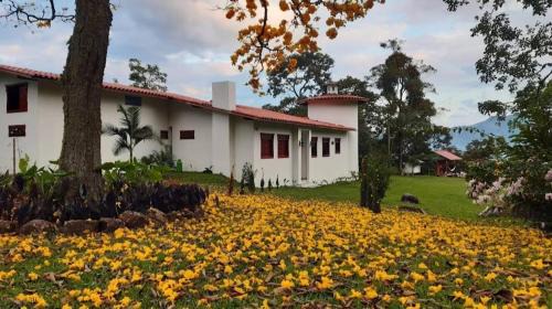 Tamesis Bed & Breakfast | Casa Finca Madrid Mazzitelli