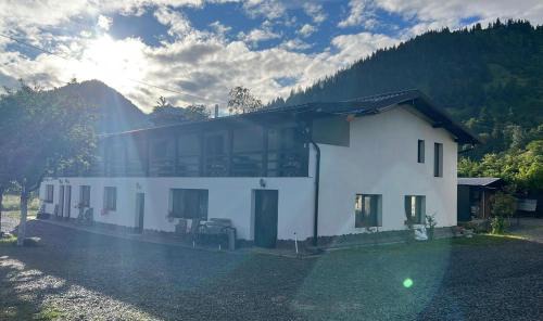 Borsa House | Casa Firuta Borsa