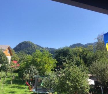 Borsa House | Casa Firuta Borsa