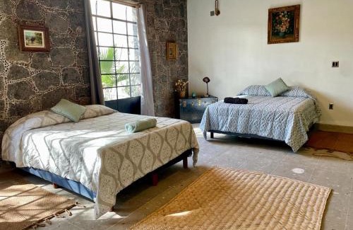 Mixquiahuala House | Casa Flora 32