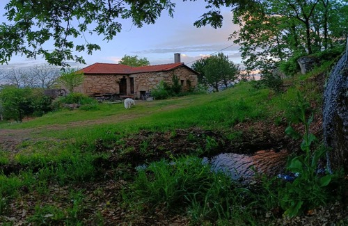 Tarouca Cottage | Casa Florestal @quintafelizardas