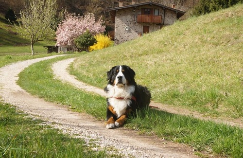Lavenone Apartment | Casa FontaGusta - fantastic view of the Piccoli Dolomiti