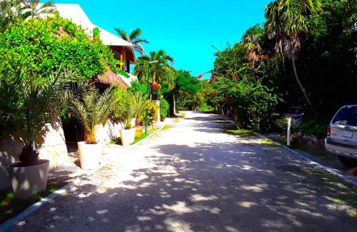 Akumal Apartment | Casa Gatos Suites