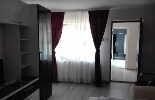 Costinesti House | Casa Georgian