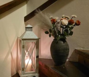 Steinstø House | Casa Grend