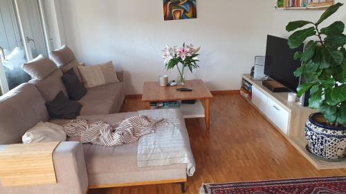 Kloten Apartment | Casa Hame