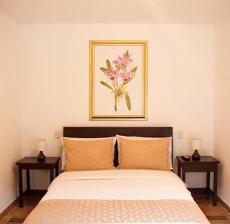 Luna Park Hotel | Casa Hotel Las Orquideas