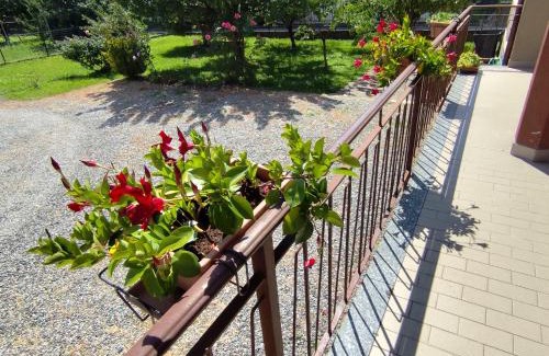 Montalto Dora Apartment | Casa Ikigai - accogliente e spaziosa
