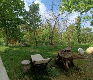 Sestino Bed & Breakfast | Casa Il Ghiro
