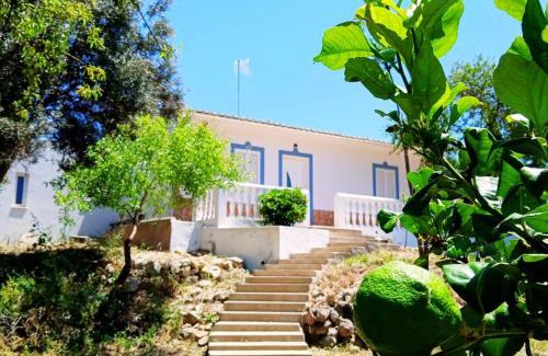 Poco do Mouro House | Casa Jacaranda Peace and Sunshine