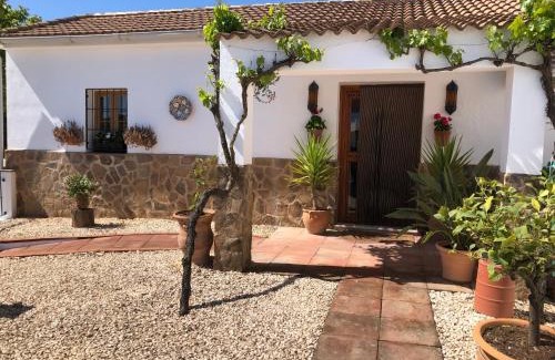 Villanueva de Tapia Bed & Breakfast | Casa La Alegria 37