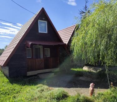 Toplita House | Casa La Andrei