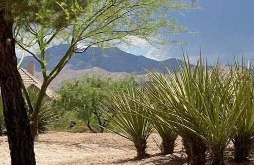 New Tucson House | Casa las Cachoras
