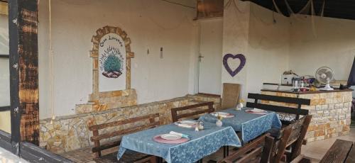 Gornji Karin Bed & Breakfast | Casa Lavanda 2 - Karin Gornji