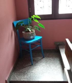 Corteno Golgi Apartment | Casa Lily