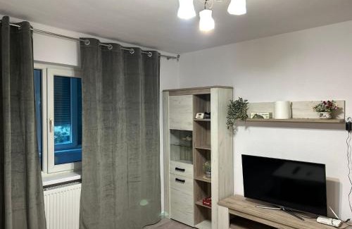 Lugoj Apartment | Casa Lotus