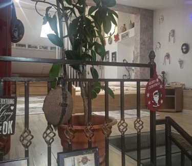 Vatra Dornei Apartment | Casa Lucescu