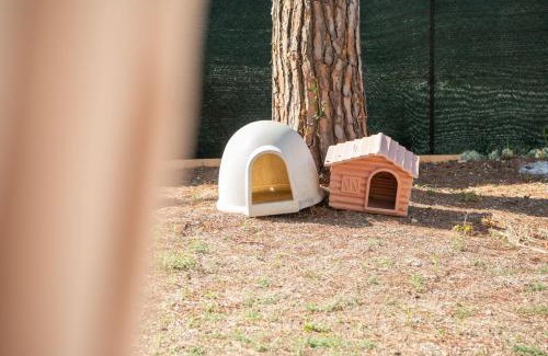 Osimo House | Casa Mally