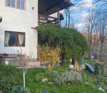 Breaza de Jos Villa | Casa Mariei - Vila Breaza