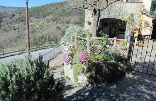 Carbuta Apartment | Casa Marta&Gino
