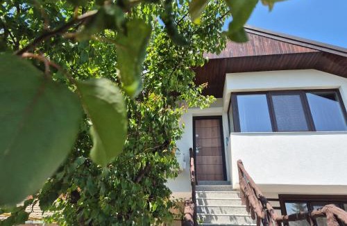 Saturn House | Casa Miru