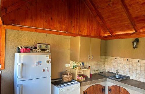 Izvoru Muresului House | Casa Moldovan