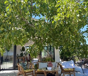 Zeytinli Apartment | Casa Mora
