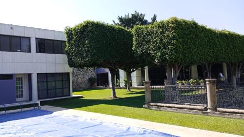 Tres de Mayo House | CASA MORADA 24 Personas alberca climatizada Burgos Cuernavaca