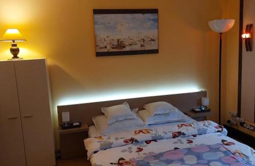 Tirgu Mures House | Casa Negoiu