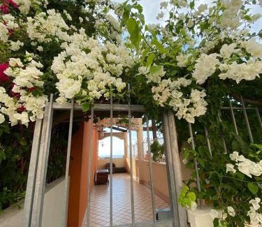 Pizzo Apartment | casa norvegese