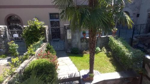 Collina d'Oro House | Casa Olivo