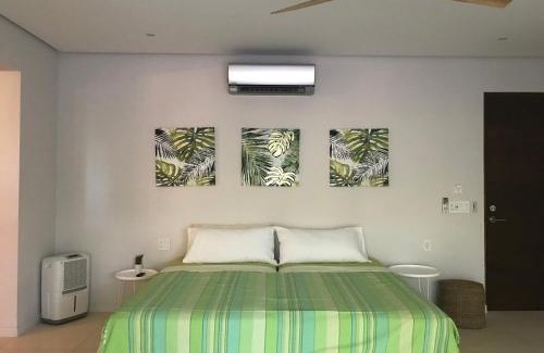 Potrero House | Casa Papito