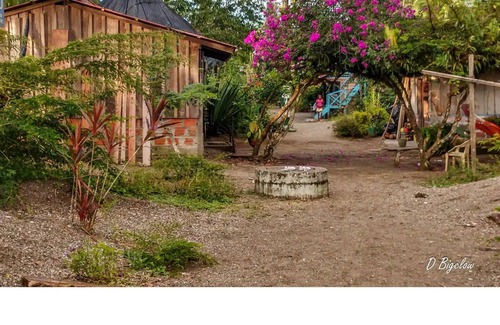 Nuqui House | Casa Prana, Termales, Nuqui