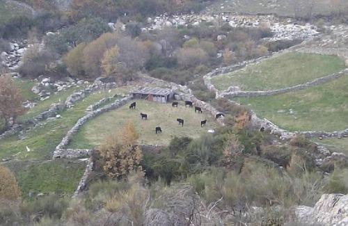 Cuacos de Yuste Cottage | Casa Rural Colmenarejo for 16 people