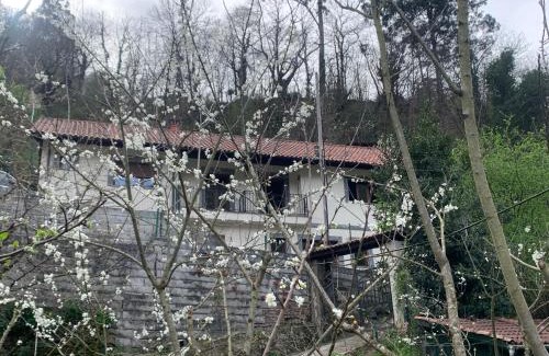 Bustiello Ski Chalet | Casa Rural en Santa Cruz-Mieres