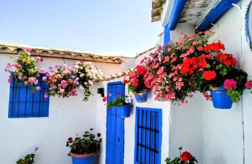 Campo-Nubes House | Casa Rural Patio Andaluz