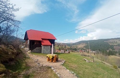Arieseni House | Casa Sașilor