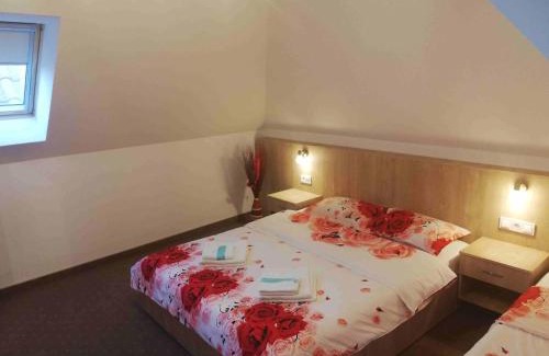 Sighisoara Apartment | Casa Steluta