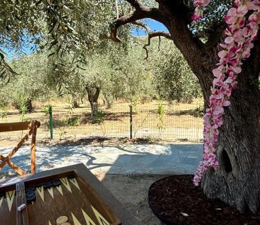 Prinos Cabin | Casa Teresi Thassos