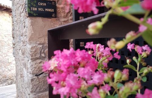 Gavet de la Conca House | Casa Ton del Mingo