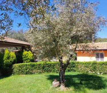 Sorgono House | Casa vacanza centro Sardegna