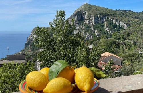 Schiazzano Apartment | Casa Vacanza Villa Girasole
