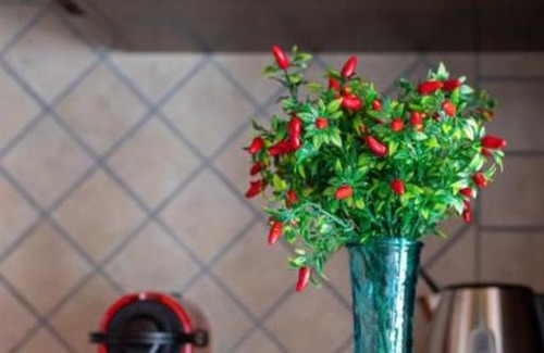 Naples City Centre House | Casa Vacanze Operazione San Gennaro