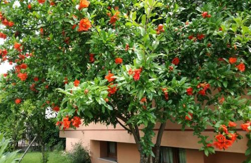Segusino Apartment | Casa Vacanze - SportHoliday House Segusino-Valdobbiadene