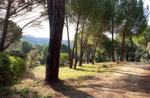 El Tiemblo House | Casa Valdesanmartin - Country House, 10500sqm, Pool, Paddel & Bbq