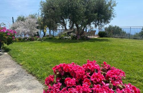 Imperia House | CASA VISTA MARE - Superb garden and Parking included