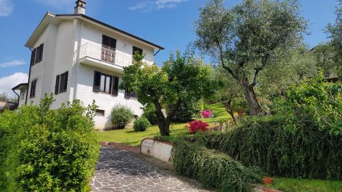 Massarosa Villa | Casa Vittoria